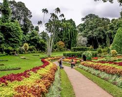 Kandy – Two nights