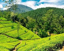 Nuwara Eliya – Two nights