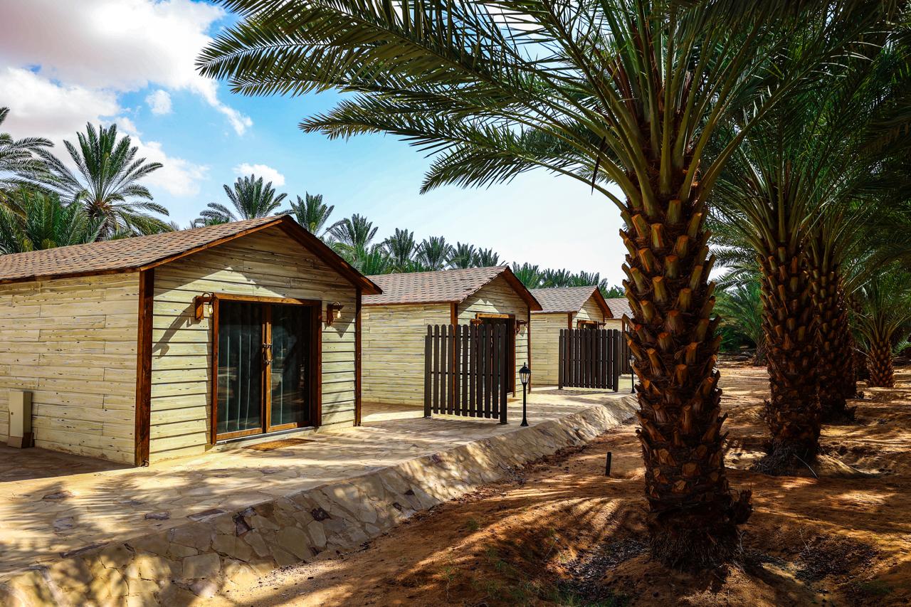 Discover the Serenity of AlUla – A Luxury Cabin Experience for One Night