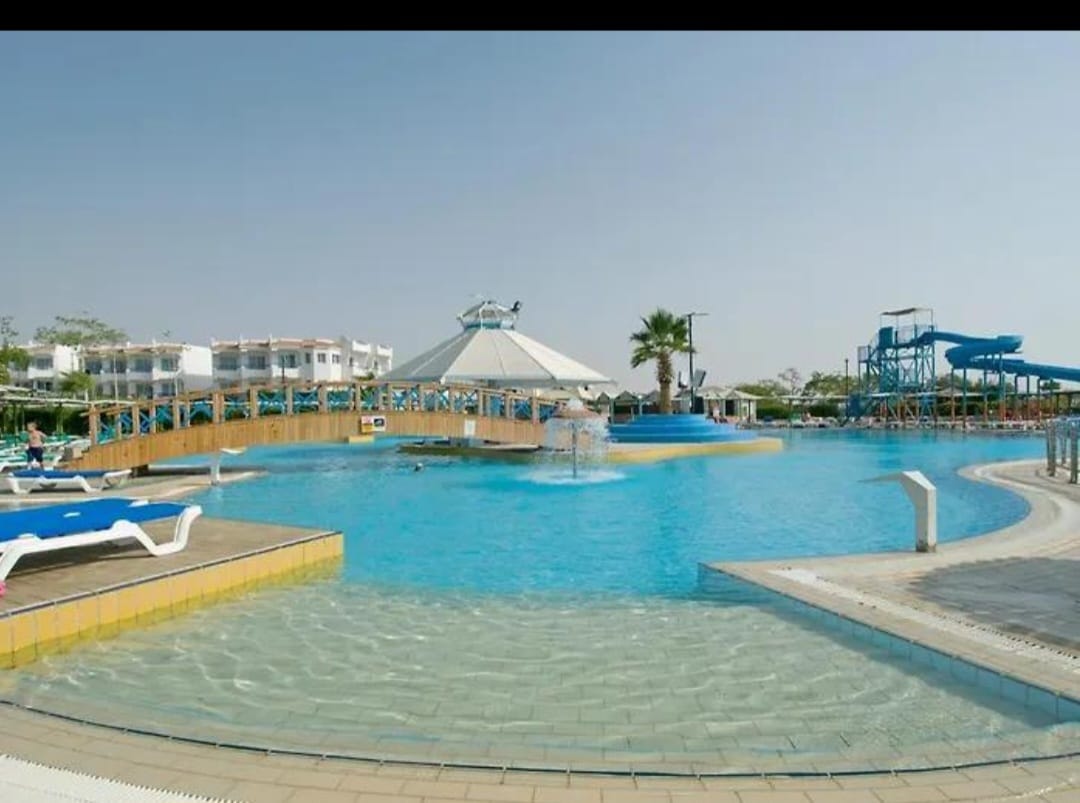 معرض الصور