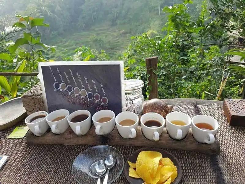 جولة أوبود والطبيعة